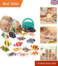Vibrant 60PC Tropical Fish &
