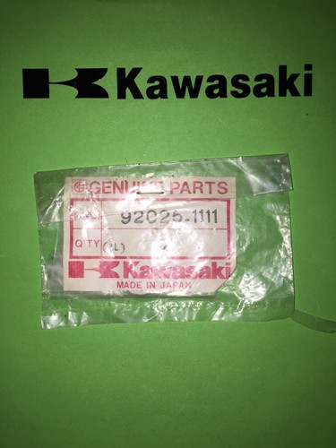 Kawasaki gpz zr - zr, 440