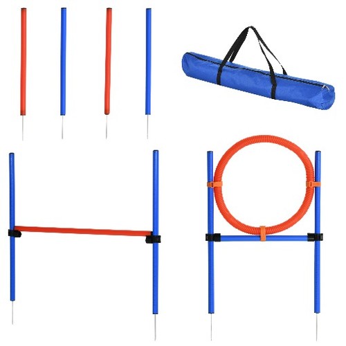 Dog play run jump obedience - jump,
