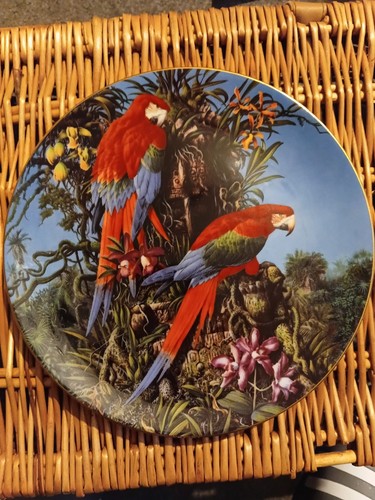 Wedgwood bone china - bone, plate