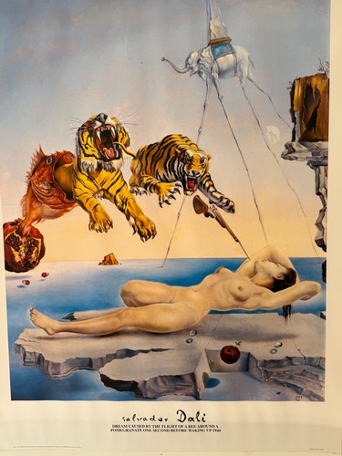 Salvador dali dream caused - dali, by