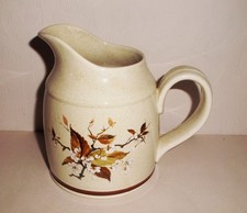 Royal Doulton WILD CHERRY Jug.