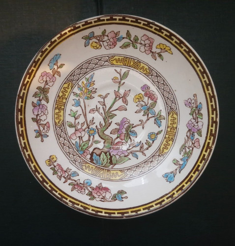 Washington indian tree saucer - indian,