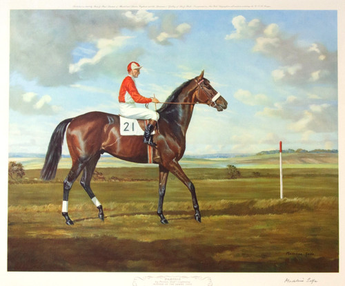Derby winner 1959 signed - derby,