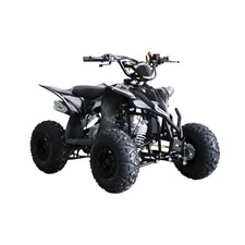 QUAD BIKE PETROL 110CC PROMAX