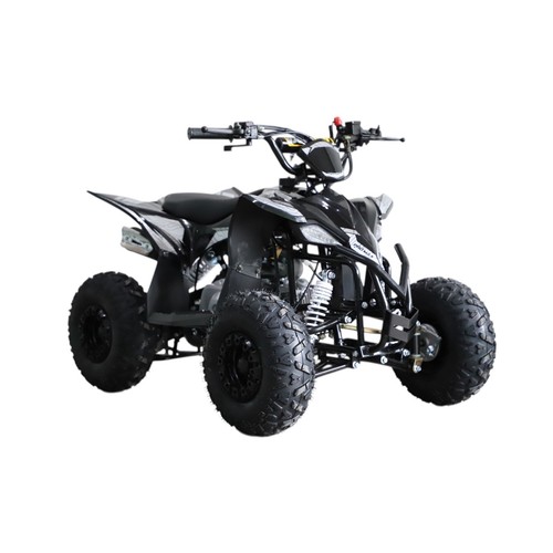 Quad bike petrol - bike, promax