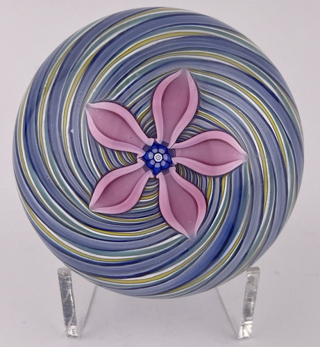 Peter mcdougall pink flower - peter,