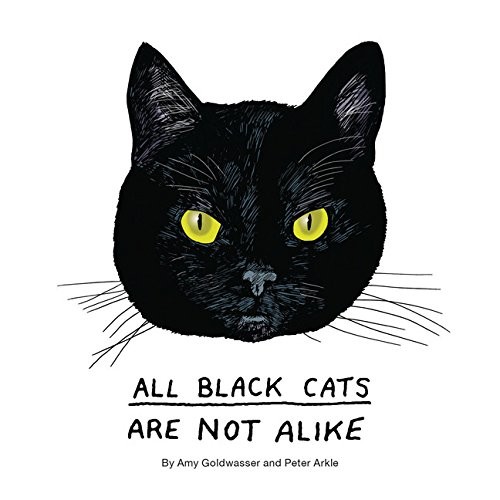 All black cats - are, alike