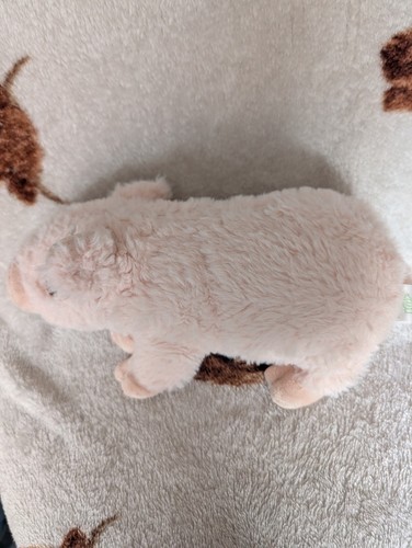 Keel toys keeleco plush - plush, pig