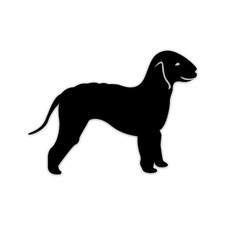 Bedlington terrier vinyl - terrier,