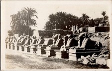 Postcard Street of Sphinx Luxor Egypt