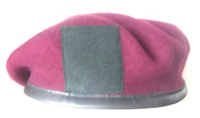 ROYAL IRISH REGIMENT 16 AIR