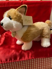 Kiyoni Welsh Pembroke Corgi