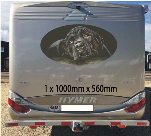 Black rottweiler 1000mm - rottweiler,