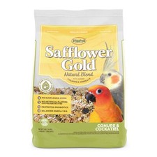 Higgins Safflower Gold Conure