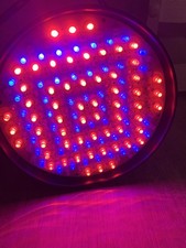 Equinox Party Par - LED DMX  light disco  56 can x 1 