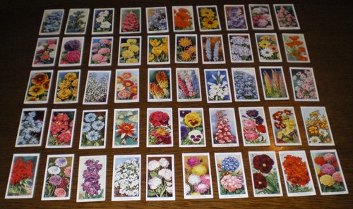 Set wills garden - set,