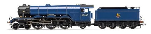 Hornby late br 60063 - hornby, a3