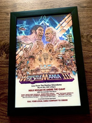 11x17 framed hulk hogan - hogan, wwe