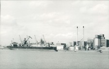 MV goldenstar & Hanseatic