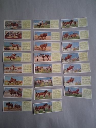 Typhoo horses tea - -,