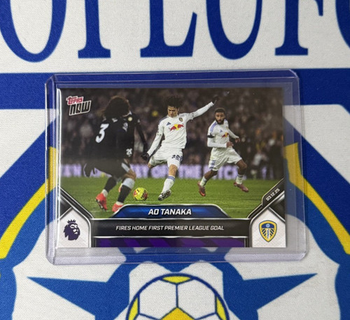 Tanaka leeds united - tanaka,