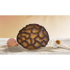 Mini Brain Coral Lamp Decorative lamp With light Gift For Special One