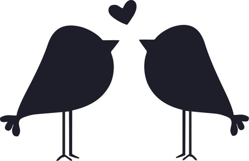 Birds-In