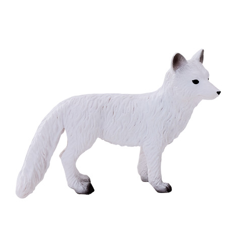 Mojo arctic fox wild - fox,