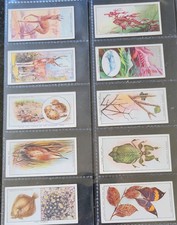 Ogdens Cigarette Cards Zoo