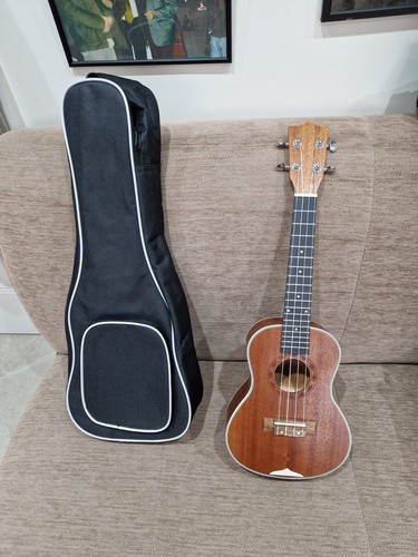 Ukulele concert professional
