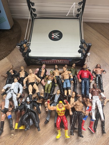 Wwe wrestling figure - wwe,