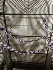 25"+ Braded Ropes Time 4 Sugar