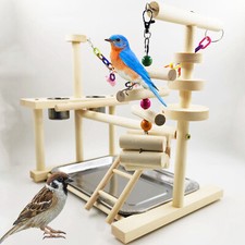 Wooden Pet Parrot Playstand Perch Gym W/Tray Cockatiel Bird Play Stand Playpen