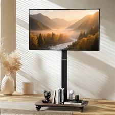 Free Standing TV Mount Stable