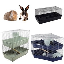 Rabbit Guinea Pig Indoor Pet