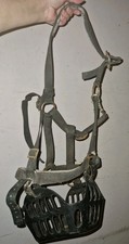 Greenguard Muzzle & Headcollar
