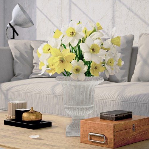 Decorative flower pots - decorative,