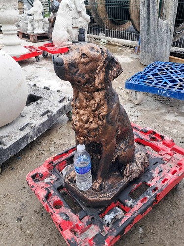 Large setter retrievor - large,