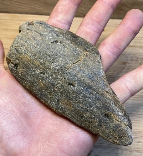 Fossilised whale bone with - whale,