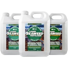 Organic 100% Hebridean Liquid Seaweed Fertiliser & Plant Food 500ml - 20L Sizes