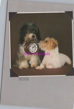 Animals Postcard - Pets, Dogs, Two Cute Dogs. Holding an Alarm Clock RR21048