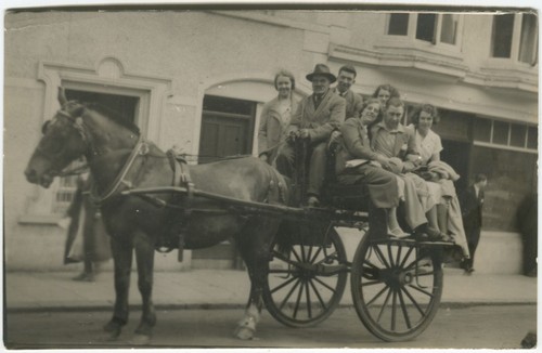 Horse drawn carriage working - horse, carriage,