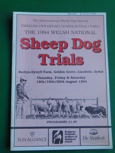 Welsh national sheep - sheep, dog