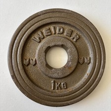 Weider 1kg Cast Iron Weight