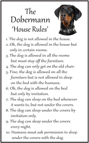 Dobermann dog gift house - dog,