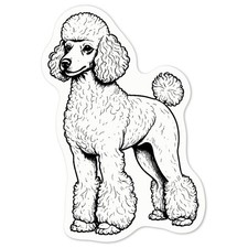 'Standard Poodle' Decal