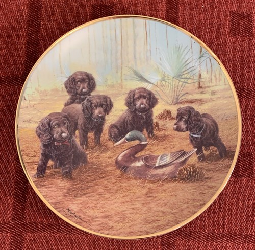 Franklin mint team practice - franklin,