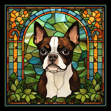 Brown Boston Terrier Dog Large