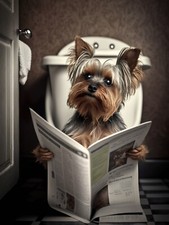 Bathroom Toilet Wall Decor Fun